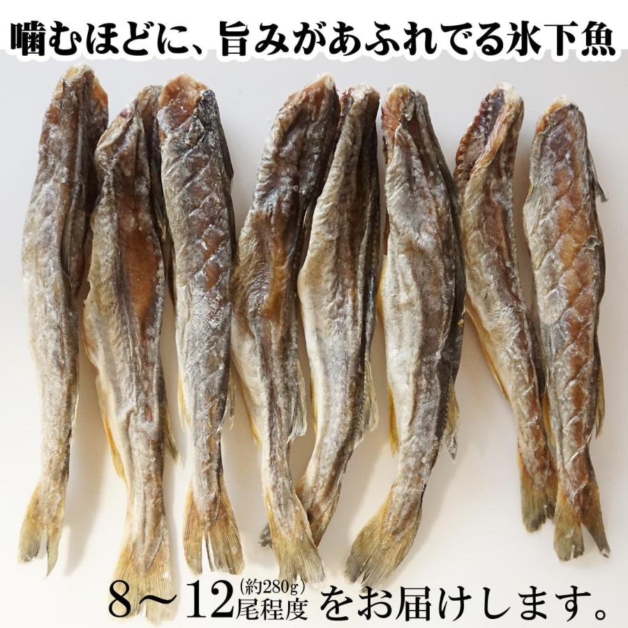 おつまみ 干し 氷下魚(こまい) 約280g 北海道産 干しコマイ 中サイズ 8〜12尾程度 珍味 こまい カンカイ