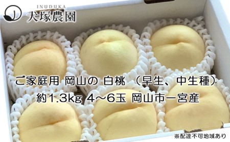 桃 2024年 先行予約 ご家庭用 岡山 の 白桃 （早生、中生種）約1.3kg 4～6玉 もも モモ 岡山市 一宮産 国産 フルーツ 果物 犬塚農園