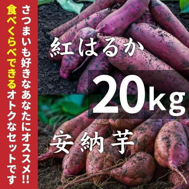 さつまいも 紅はるか  安納芋 20kg 食べくらべセット 土付き・大小サイズ混在 鹿児島県産 さつま芋