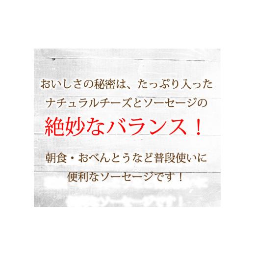 ふるさと納税 岩手県 花巻市 チーズでるソーセージ（5袋セット） 