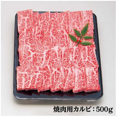 ふるさと納税 壱岐市 壱岐牛カルビ焼肉　500g×1パック