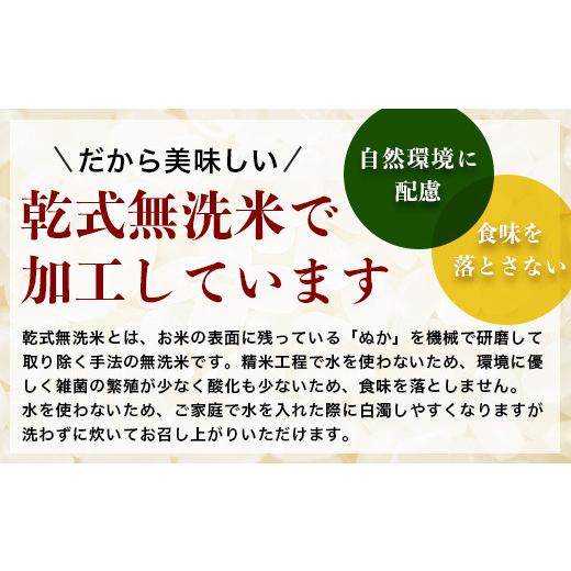 ふるさと納税 佐賀県 鹿島市 E-99鹿島市産厳選さがびより（無洗米）白米 ３０kg