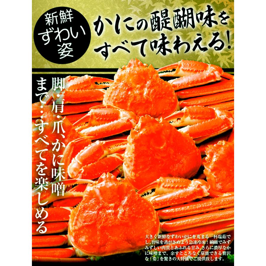 かに お買得 ボイルずわいがに・姿 1尾 約350g 蟹 カニ 送料無料 冷凍便 食品