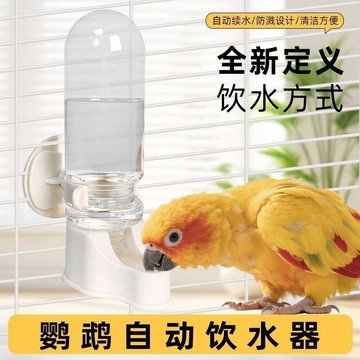 🌐台灣出貨🌞甄選好物🧲新款鸚鵡自動飲水器鳥用品水壺餵食器小鳥和水壺小鳥飲水器鳥籠