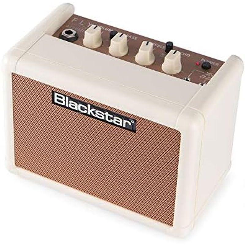 Blackstar FLY3 Acoustic専用 拡張スピーカー FLY103 Acoustic