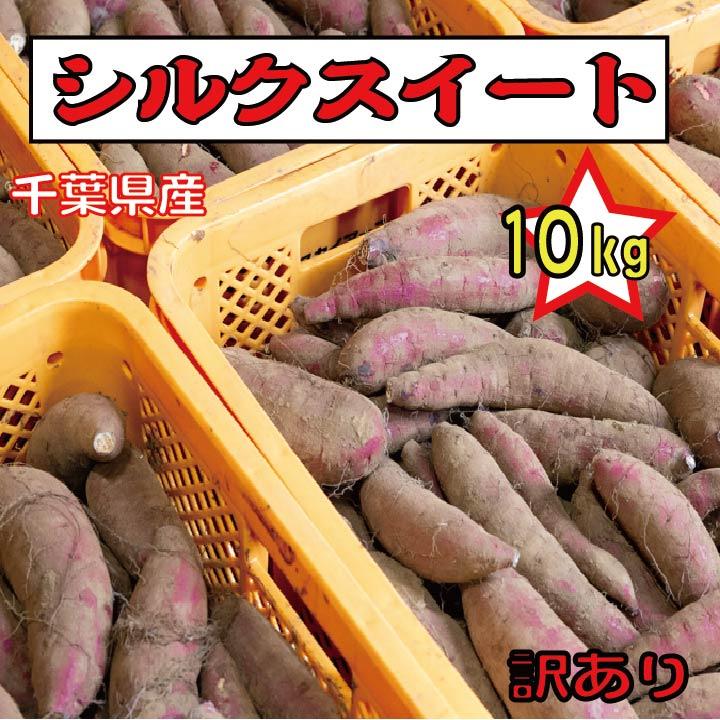 さつまいも 千葉県産 シルクスイート 約10kg