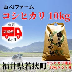 福井県若狭町コシヒカリ(1等米)10kg　精米全6回