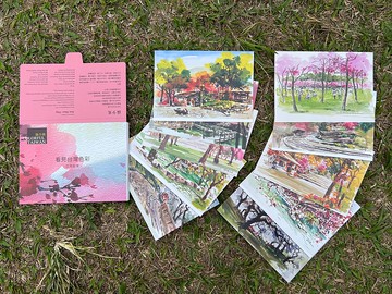 孫少英-看見台灣色彩-花見散策