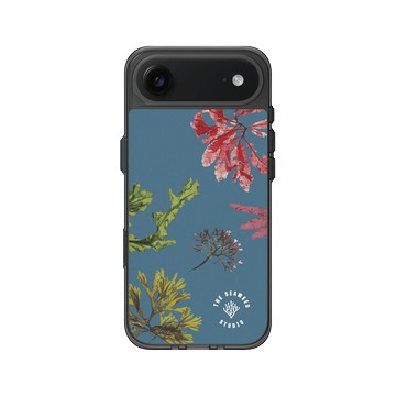 iPhone Air Clear (相機按鈕) 酷墨灰 - The Seaweed Studio - 康沃爾・海灘藻研習