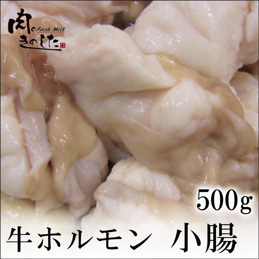 牛ホルモン 小腸 500g ホルモン 焼肉 もつ鍋