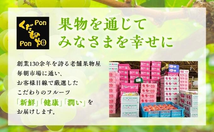 旬のフルーツ詰合せ！丸亀讃果　計3回定期便  今が旬 の厳選果実