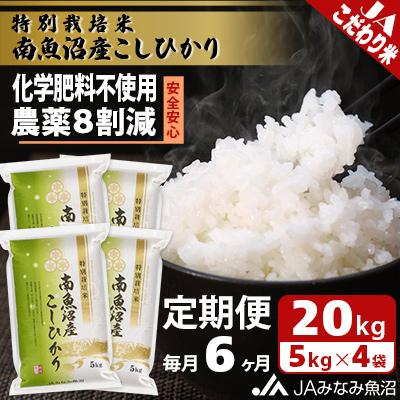 ふるさと納税 南魚沼市 特別栽培米南魚沼産こしひかり8割減 精米 20kg(5kg×4)全6回