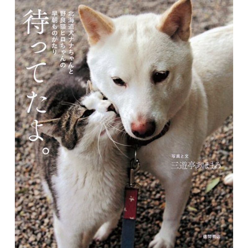 北海道犬ナナちゃんと野良猫ヒロちゃんの早朝ものがたり 待ってたよ。