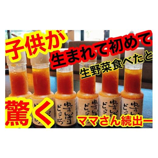 ふるさと納税 高知県 南国市 ゆずしぼりドレッシング（300ml×6本）