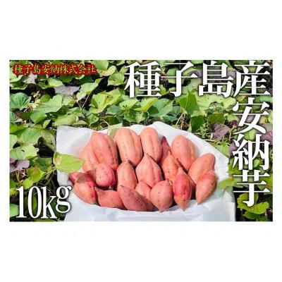 ふるさと納税 中種子町 種子島産安納芋 10kg