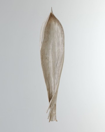 Palm Seed Pod Wall Decor