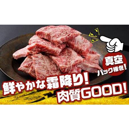 ふるさと納税 宮崎牛焼肉用ロース切り身500g(真空パック)_13-8902_(都城市) 都城産 宮崎牛 焼肉用ロース切り身 真空パック 焼肉 カット 宮崎県都城市