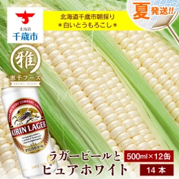 2024年夏発送 キリンラガービール 500ｍl 12缶＆白いとうもろこしピュアホワイト14本