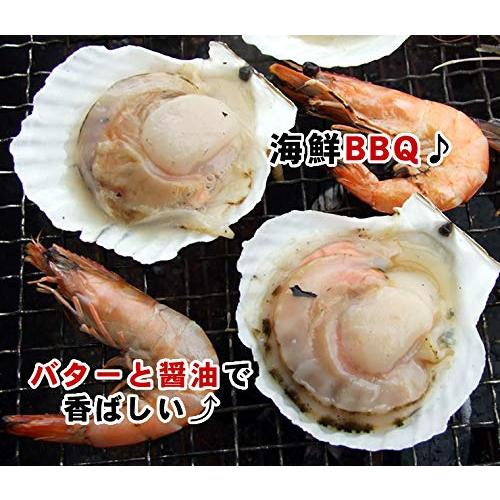 海鮮BBQ(約1ｋｇ入り)北海道産 [冷凍] 帆立貝・ほたて