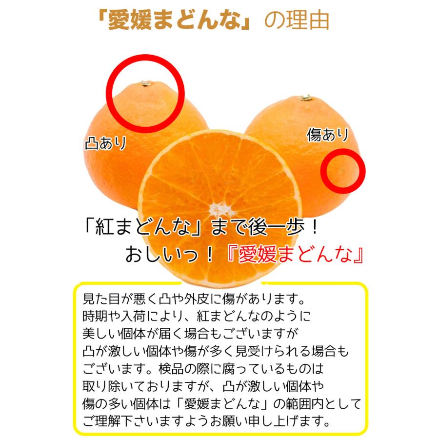 紅まどんな あいか 送料無料 愛媛県 愛媛まどんな みきゃん箱 3Lサイズ 2.5kg JAの正規品 あいか 愛果28号 ご家庭用 バラ詰 お歳暮 ギフト 予約 12月上旬頃から