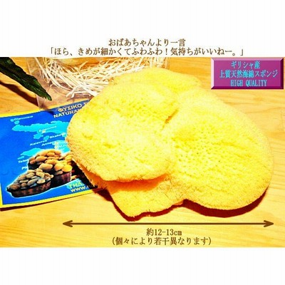 天然 特大！ 海綿スポンジ ギリシャ産 グラス種 XXLサイズ No.372 天然 特大！ 海綿スポンジ ギリシャ産 グラス種 XXLサイズ No.372