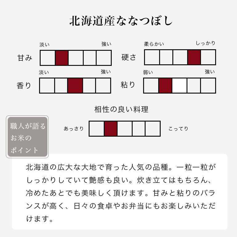 ななつぼし 10kg 北海道産 送料無料 一宮精米  米 お米 令和5年産