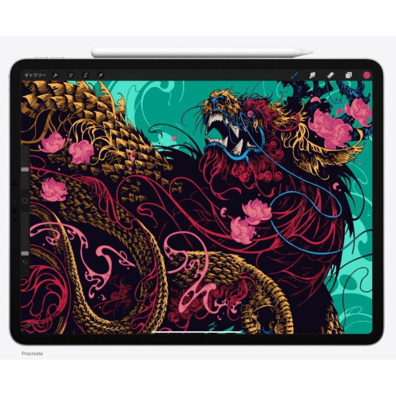 当日発送 新品未開封 送料無料 APPLE iPad Pro 11インチ 第2世代 Wi-Fi ...