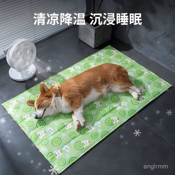 🔥臺灣出貨🔥【30天熱銷2106件】冰墊咪夏天清涼窩防暑冰床窩睡窩涼席墊子夏季降溫睡墊