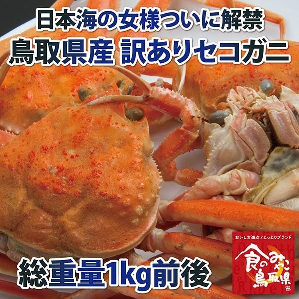 訳ありセコガニ(活)松葉ガニの雌 総重量1kg前後