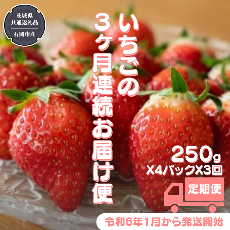  合計3kgお届け いちご の3ヶ月連続お届け便 （1回：250g×4パック）×3回 （県内共通返礼品：石岡市産） 果物 フルーツ イチゴ 苺 白いちご 白苺