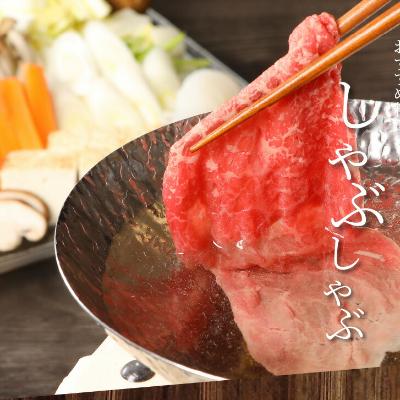 ふるさと納税 木城町 宮崎牛　和牛モモ肉　しゃぶしゃぶ　500g