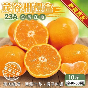 【農民直配】台灣23A茂谷柑禮盒(10斤/約40-50顆)
