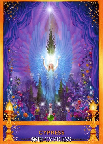 絲柏 CYPRESS【5*7吋美國進口正版作品】精靈天使精油神諭卡 - 精油天使系列畫