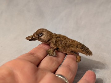 鴨嘴獸寶寶 - 鉤編微型 - 5.5 公分。