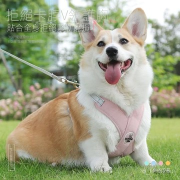 【限時特賣】 寵物牽引繩  防爆沖狗繩  遛狗繩【】狗狗X型胸背帶不卡脖牽引繩寵物貼閤全身透氣胸背寵物牽引多色