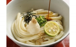 さぬき生うどん12食セット