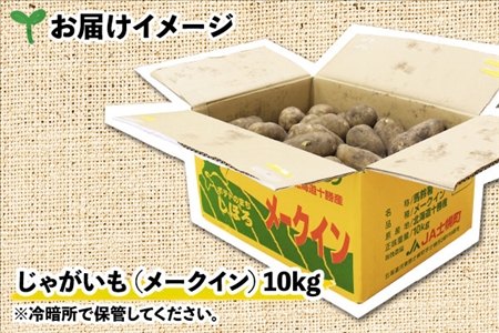 北海道 じゃがいも メークイン 10kg 北海道産 十勝産 ジャガイモ 芋 いも ポテト お取り寄せ まとめ買い 送料無料 十勝 士幌町