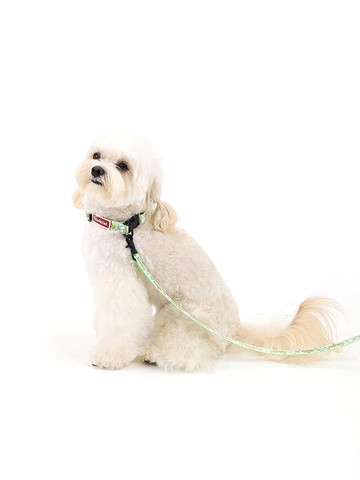 [Kinikini X EarpEarp] TWINKLE CHICHI LEASH - GREEN