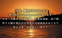 呼子のいかしゅうまい 8個入×4箱 手作り直送!! 惣菜 ギフト用 贈り物 「2022年 令和4年」