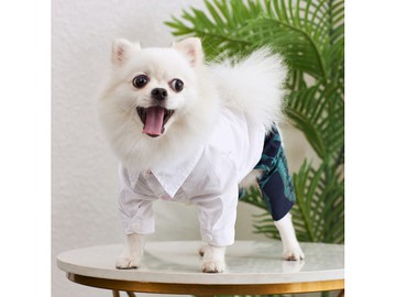 【iC原創】純棉沙灘花褲子