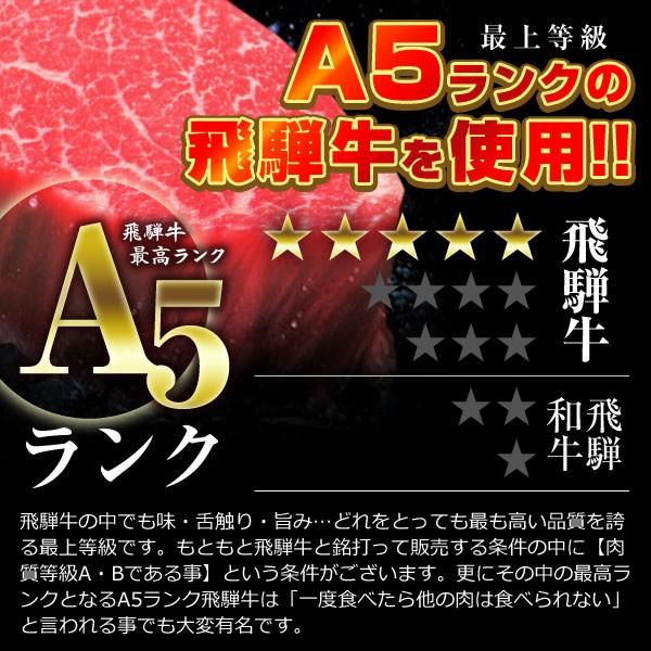 最上等級A5クラス 飛騨牛プレミアムサラミRED 旨辛仕立て 飛騨山椒付き おつまみ 90g  (ポスト投函-2)