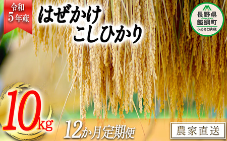 米 こしひかり 10kg × 12回 令和5年産 黒柳さんのお米 はぜかけ 沖縄県への配送不可 2023年11月上旬頃から順次発送予定 コシヒカリ 白米 精米 お米 信州 300000円 予約 農家直送 長野県 飯綱町 [1596]