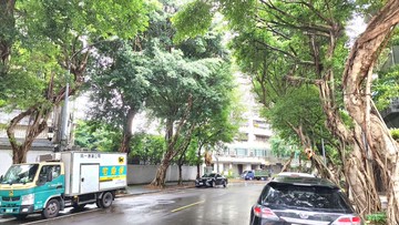 ⭐松山富錦街綠蔭靜巷精美三房⭐｜台北市松山區富錦街