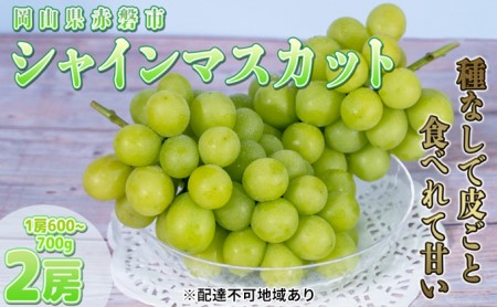 ぶどう 2024年 先行予約 ご家庭用 シャイン マスカット 2房 1房600g～700g 8月下旬～9月中旬発送分 ブドウ 葡萄 フルーツ 果物 岡山 赤磐市産 農マル園芸 あかいわ農園