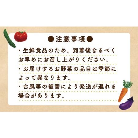 ふるさと納税 地元の農家さんが収穫した旬のお野菜 詰め合わせセット 地元の農家さんが収穫した旬のお野菜 詰め合わせセット 野.. 長崎県南島原市