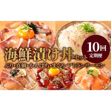 ふるさと納税 日向灘 海鮮丼 漬け丼 お魚の漬け丼 バラエティ10回定期便　N019-ZG0116 宮崎県延岡市