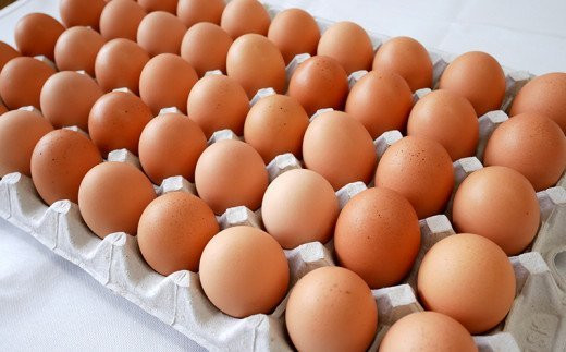 6ヵ月連続お届け　美ら卵養鶏場の卵　各月120個