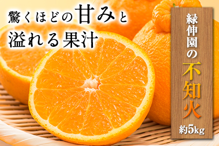 『緑伸園』の不知火・肥の豊 約5kg あのデコポンと同品種《12月中旬-1月下旬より順次出荷》