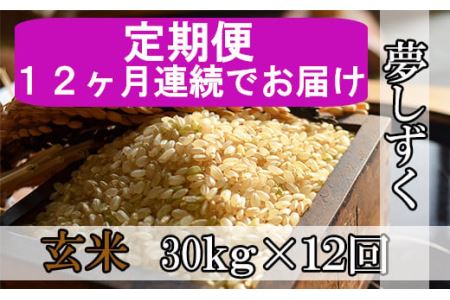 《12ヶ月毎月お届け》鹿島市産夢しずく　玄米３０ｋｇ定期便 V-23