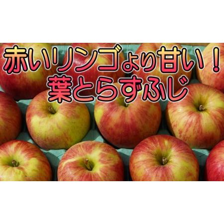 ふるさと納税 訳あり品 パリっと！！葉とらずふじ 約10kg 青森県弘前市